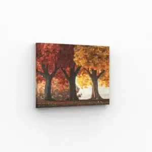 Arbres majestueux aux feuilles rouges et dorées en automne, tableau parfait pour une décoration murale chaleureuse et naturelle.