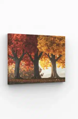 Arbres majestueux aux feuilles rouges et dorées en automne, tableau parfait pour une décoration murale chaleureuse et naturelle.