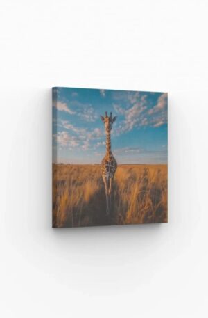 Tableau girafe au coucher du soleil dans la savane africaine.